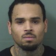 Singer Chris Brown Arrested in Florida
